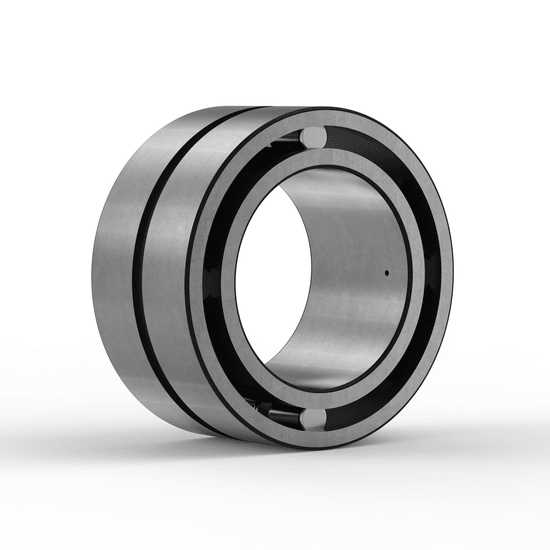 SL185009-C3 INA - Zylinderrollenlager with white background