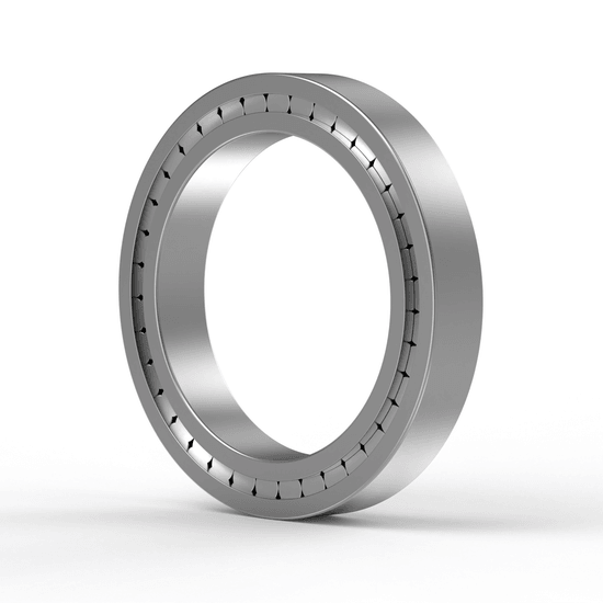 SL183044-C3 INA - Zylinderrollenlager with white background