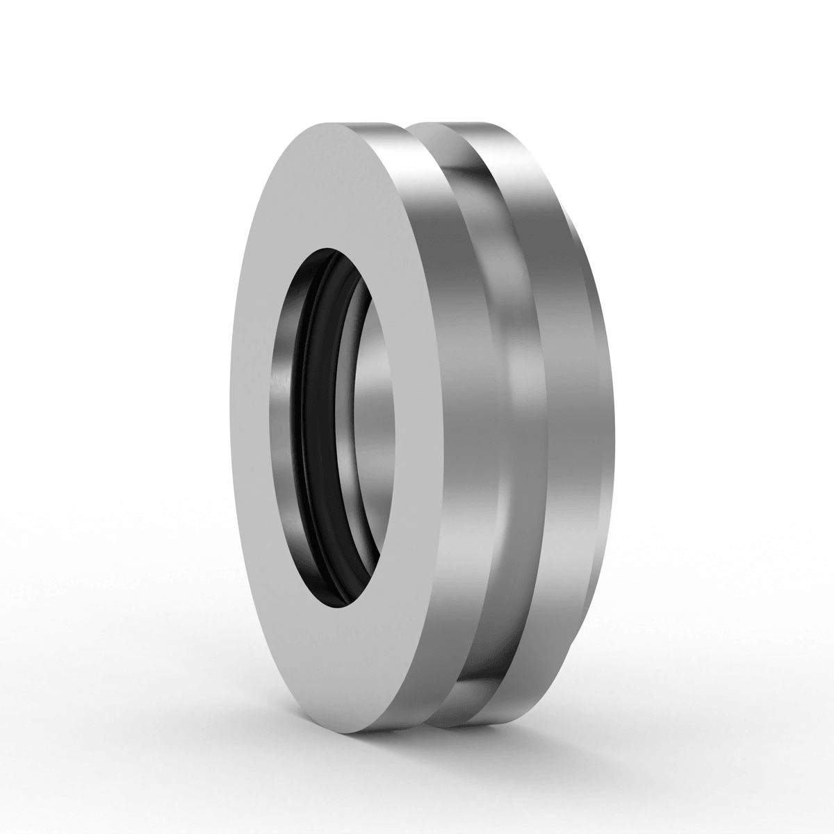 TSN530 S SKF - Gehäusedichtung with white background