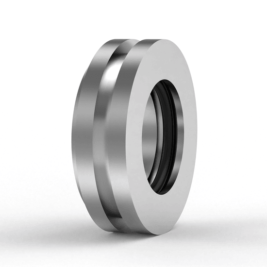 TSN528 S SKF - Gehäusedichtung with white background